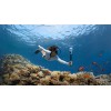 Комплект екшън камера Insta360 X5 360° Essentials Bundle