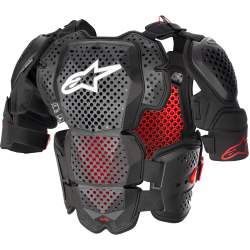 Протекторна броня ALPINESTARS A-10 V2 BLACK/RED