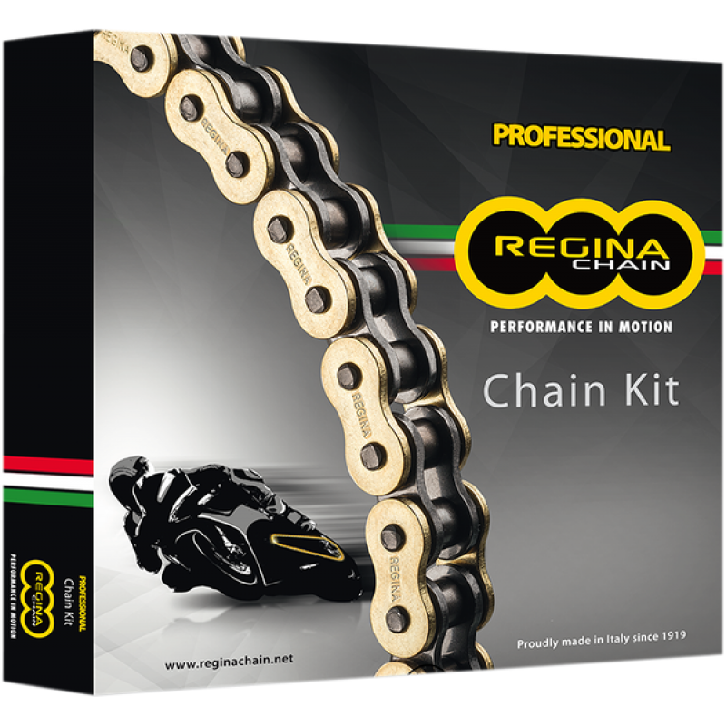 Комплект верига и пиньони REGINA BMW F650 STRADA 93-00