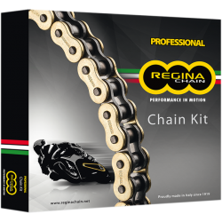 Комплект верига и пиньони REGINA APRILIA RSV4 R APRC