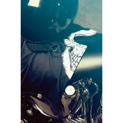 Боне  ZANheadgear POLY SKULL